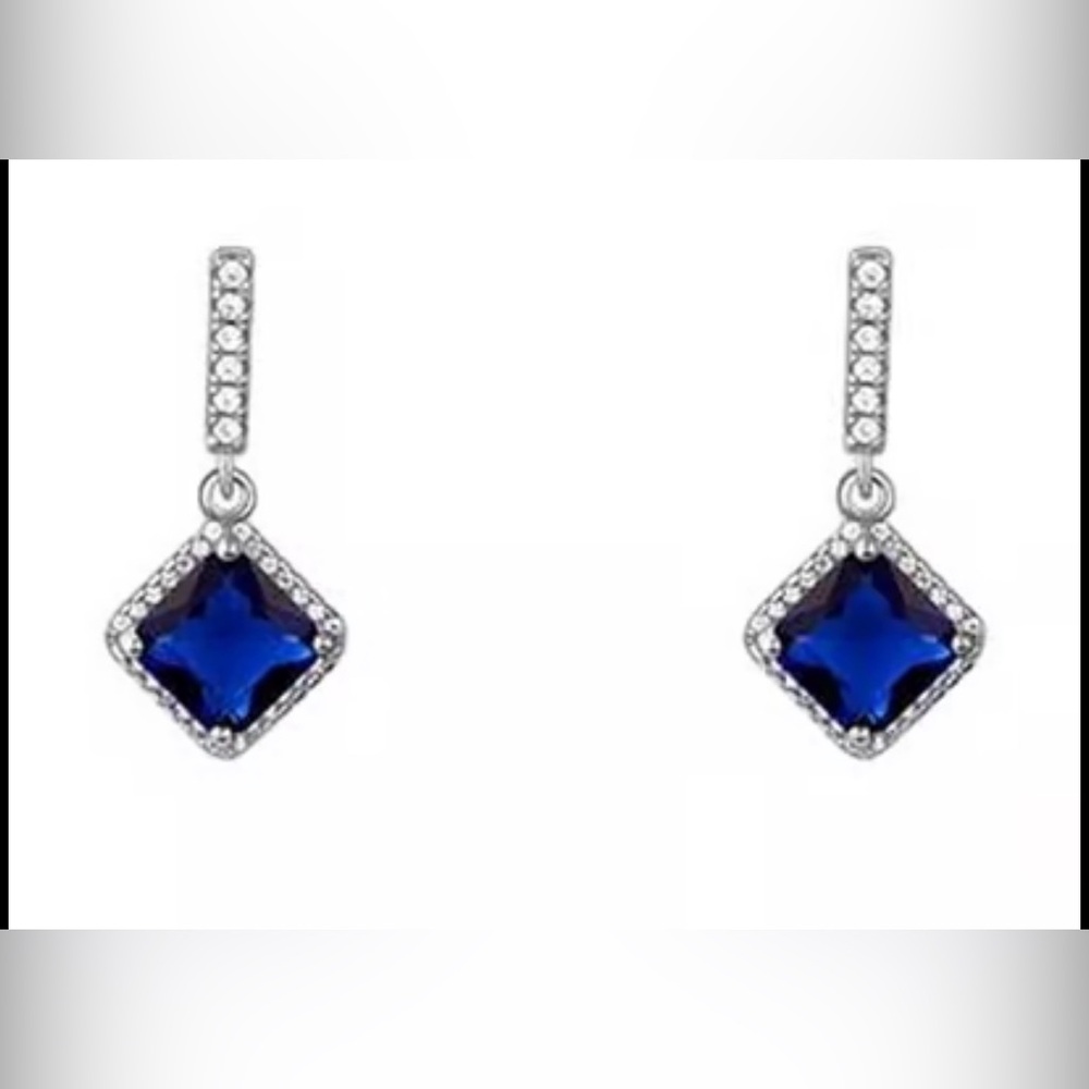 Elegant Blue and Silver Drop Earrings
